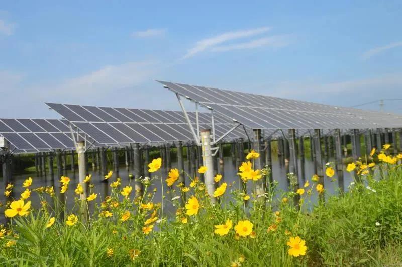 光伏支架耐濕熱可帶銹防腐蝕涂料